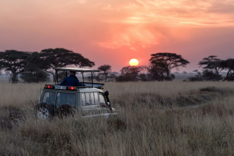 Glamping Redefined: Inside Africa’s Most Exclusive Safari Camps